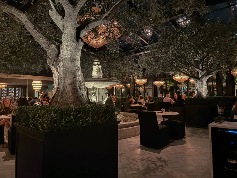 Drinks: Bellinis, Spritzes, and Stellar Wine