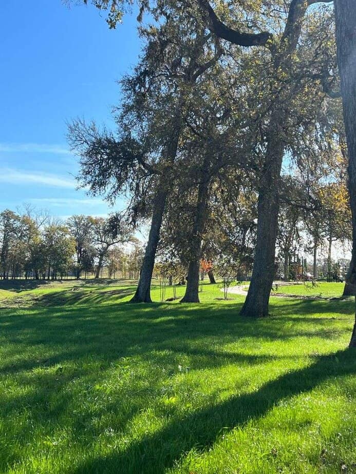 Parks and Play: Family Calm at Cross Creek Ranch