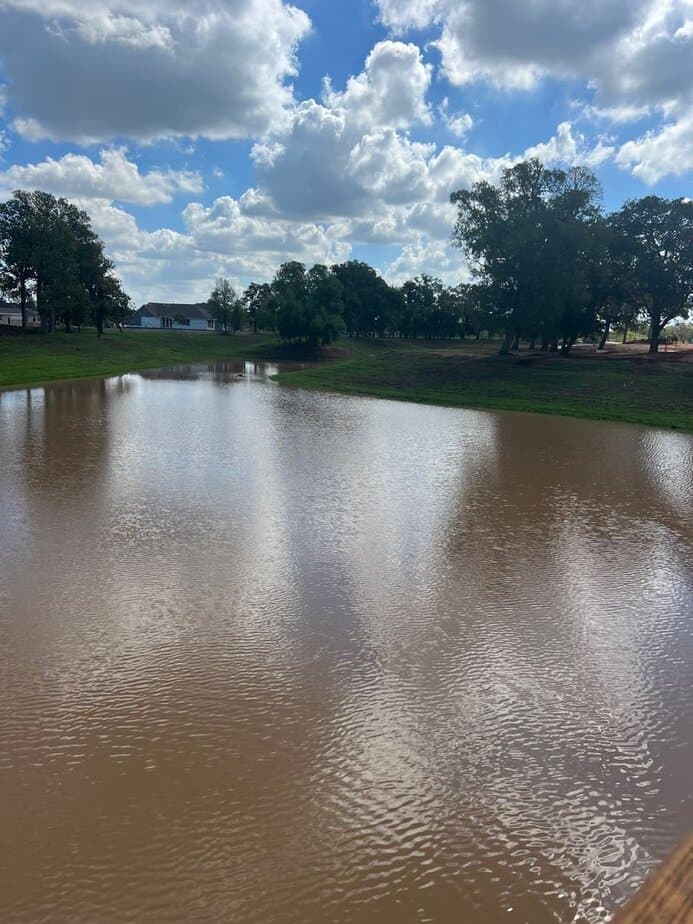 A Morning Stroll on the Flewellen Creek Trails