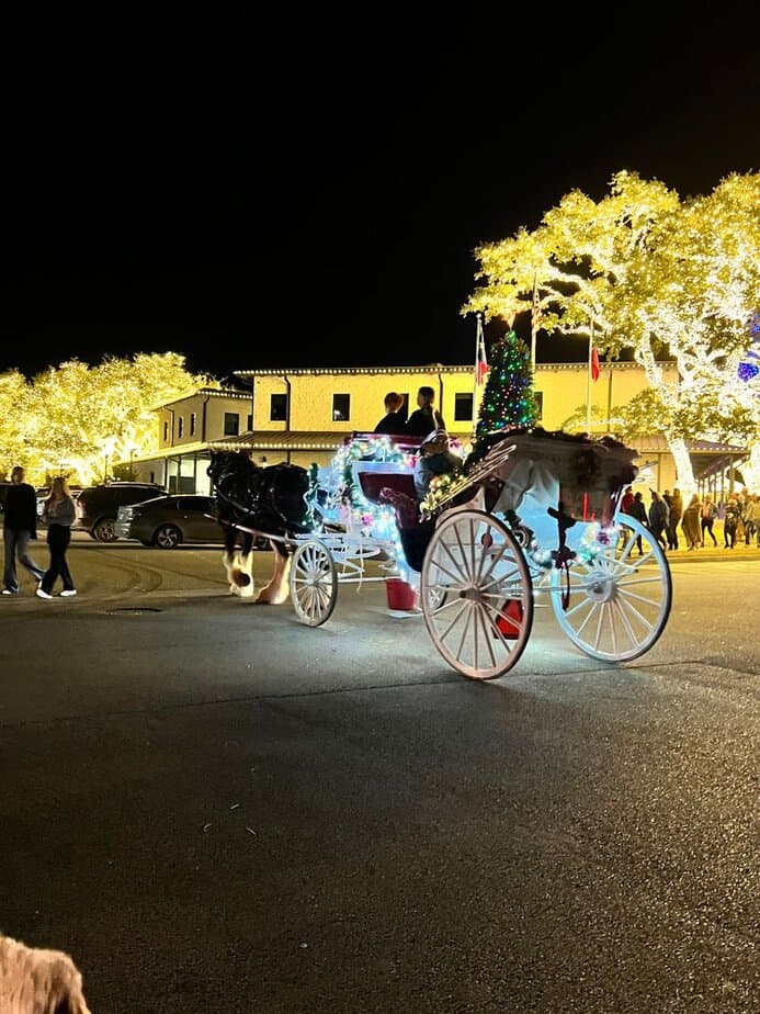 Catch the Johnson City Lights Spectacular