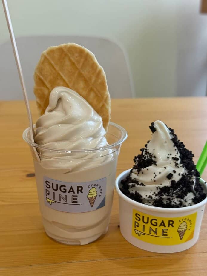 One Texas Ice Cream Shop You Need to Try Dairy Free and Not Too Sweet