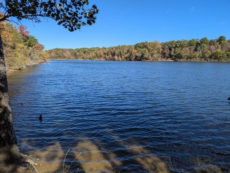 Kayaks, SUPs, And Quiet Water Paddles