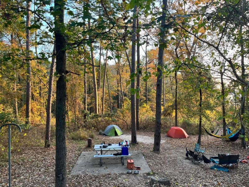 Lakeside Camping Under Towering Pines