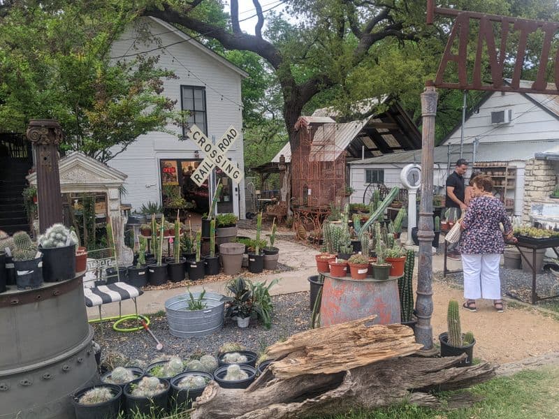 Wimberley Market Days