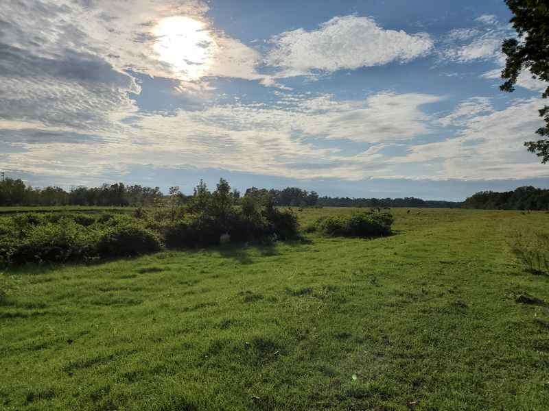 Texas Is Home to One of the Funniest Hiking Trail Names You’ll Ever Hear Best Time To Go