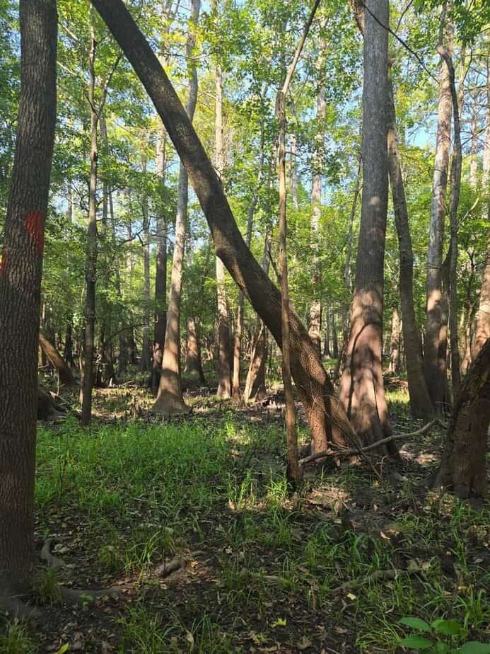 Texas Is Home to One of the Funniest Hiking Trail Names You’ll Ever Hear Trail Layout And Difficulty