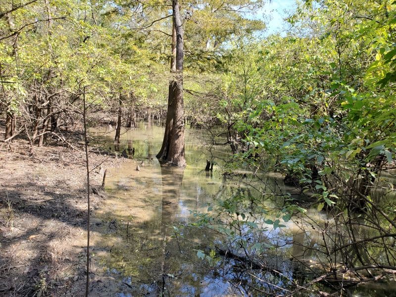 Texas Is Home to One of the Funniest Hiking Trail Names You’ll Ever Hear Wildlife You Might See