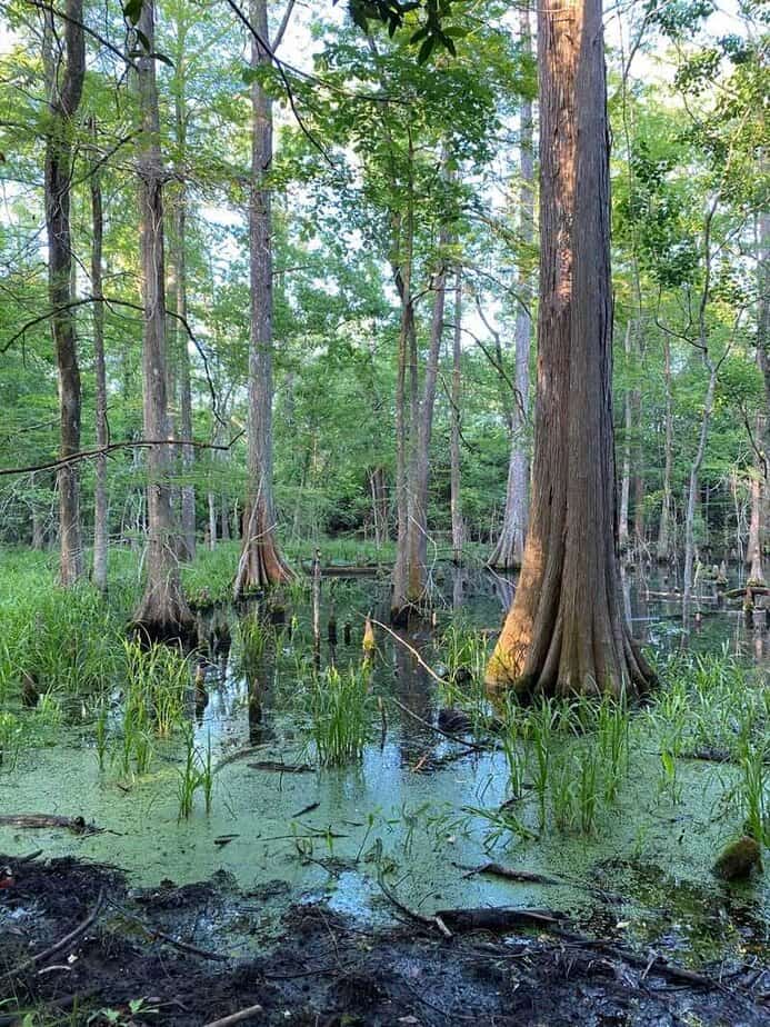 Texas Is Home to One of the Funniest Hiking Trail Names You’ll Ever Hear Safety And Conditions