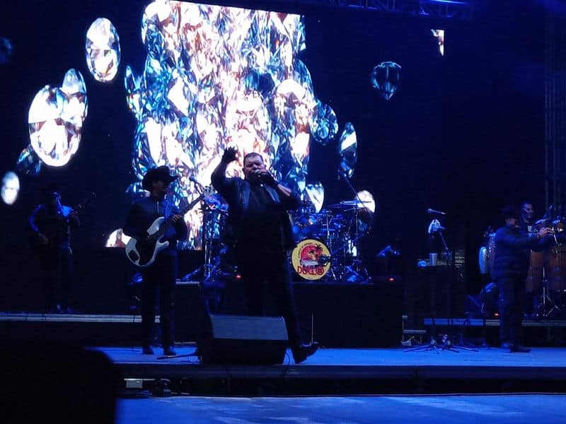 Live Music That Keeps You Moving