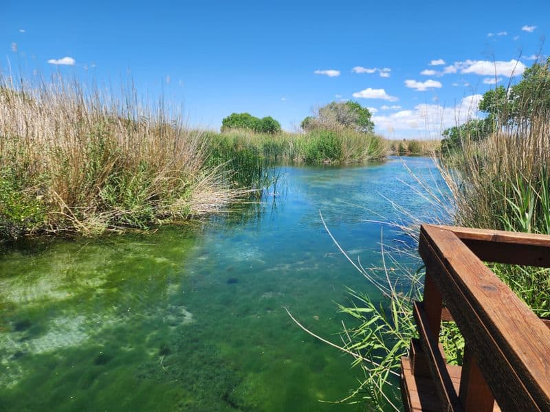 Balmorhea State Park (West Texas)