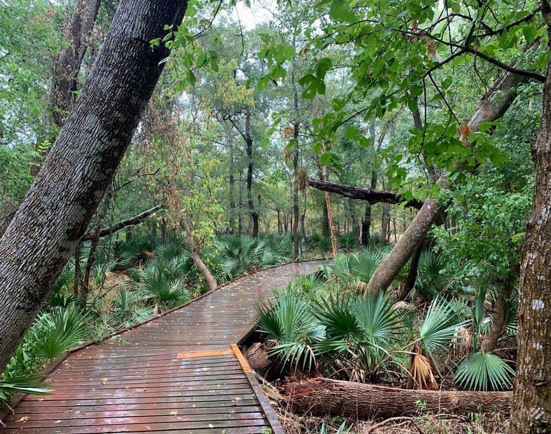 Palmetto State Park (Hill Country)