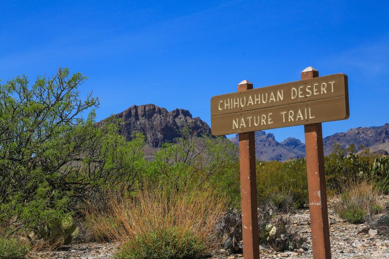 Chihuahuan Desert Trail (Big Bend National Park)
