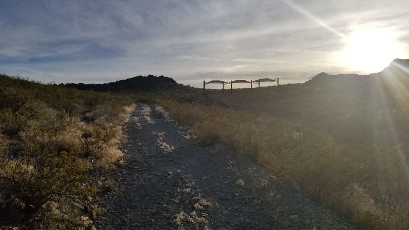 Watch the Sunset in the Chihuahuan Desert