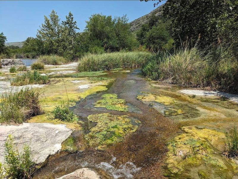 The River Gate And Finegan Springs Trail