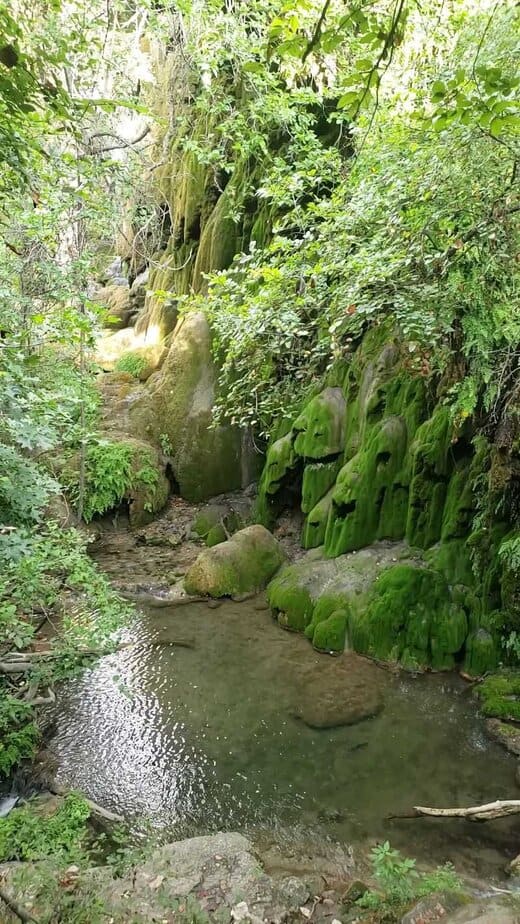 Tips From The Trail Community