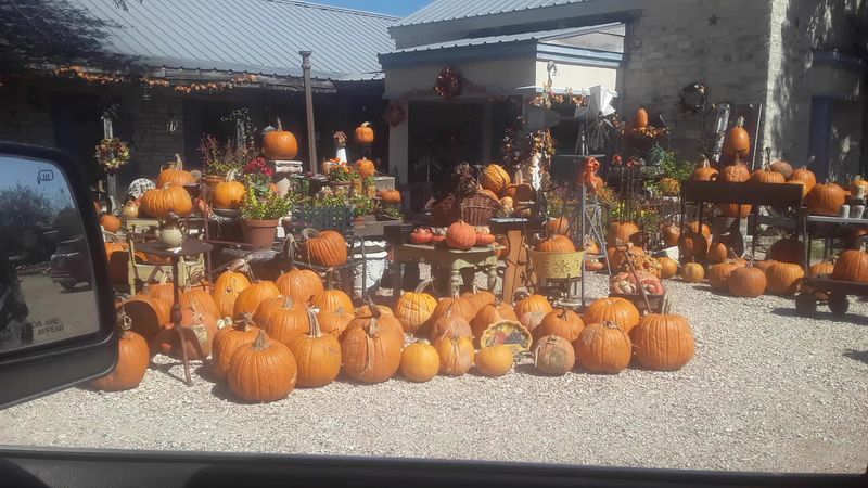 Seasonal Festivals and Market Days