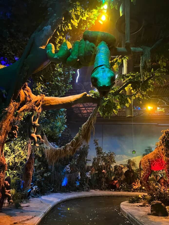 Who Will Love It Most