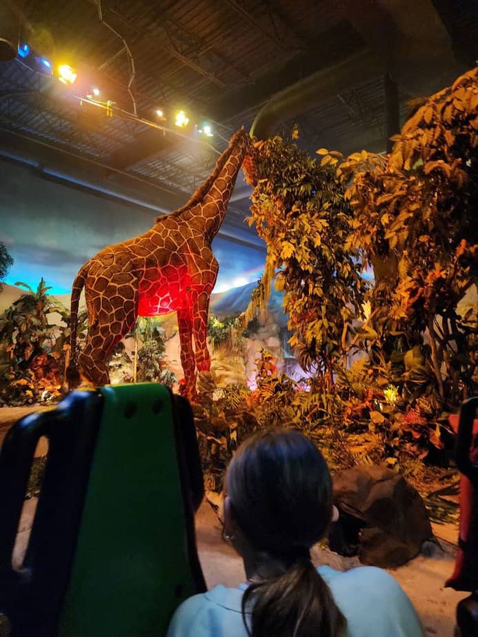 Safety, Accessibility, And Friendly Staff