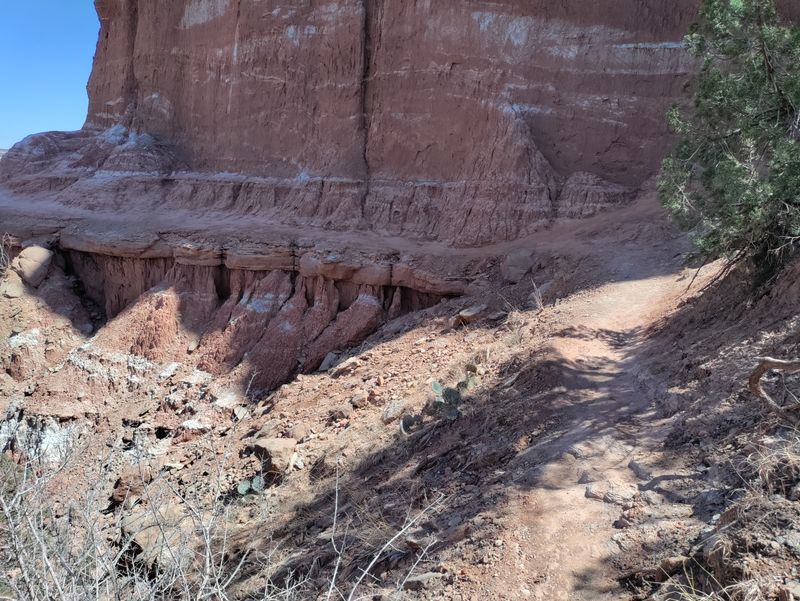 Trail Overview And Wayfinding