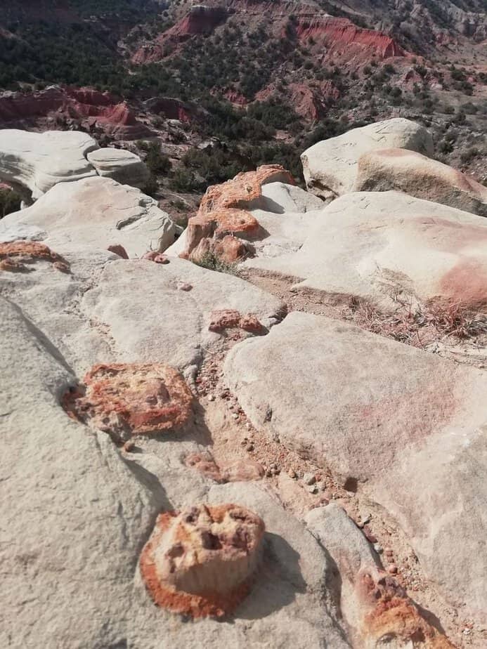 Footwear, Layers, And Essentials