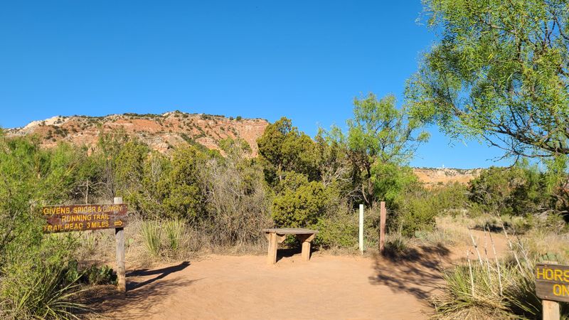 Logistics, Parking, And Start Times