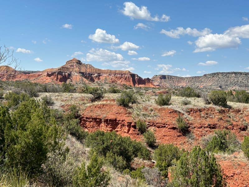 Scenic Drive and Overlooks