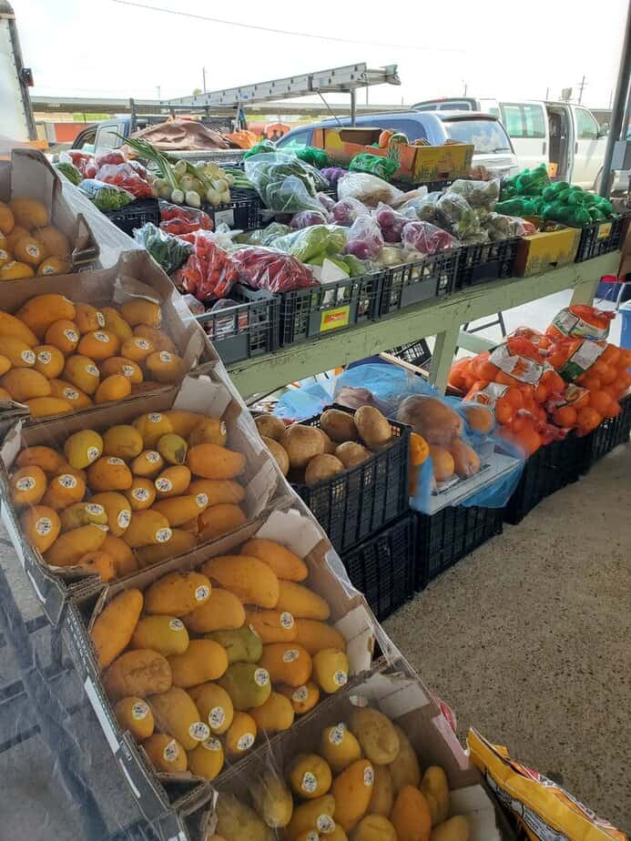 Fresh Produce Deals That Fill Your Tote