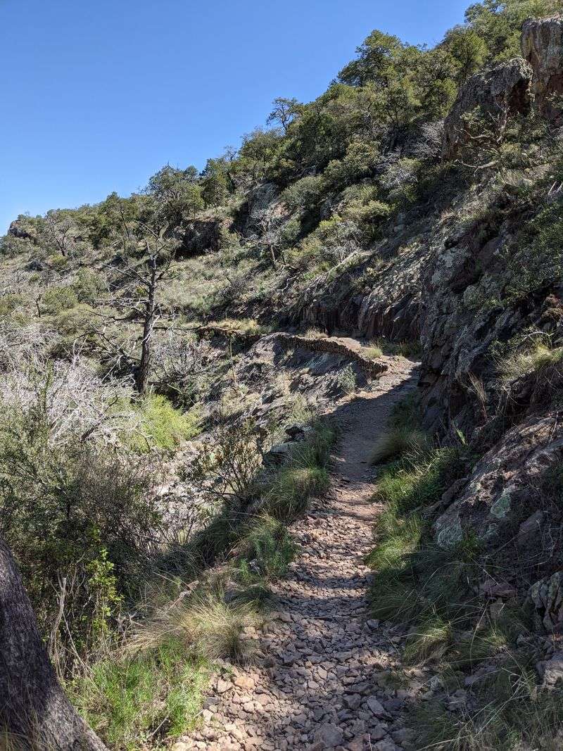 Safety, Weather, and Timing