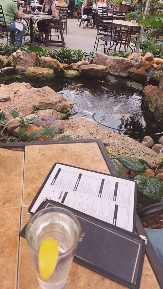 Quick Facts: Address, Hours, and Contact