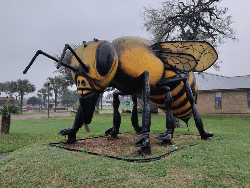 The World’s Largest Killer Bee (Hidalgo, TX)