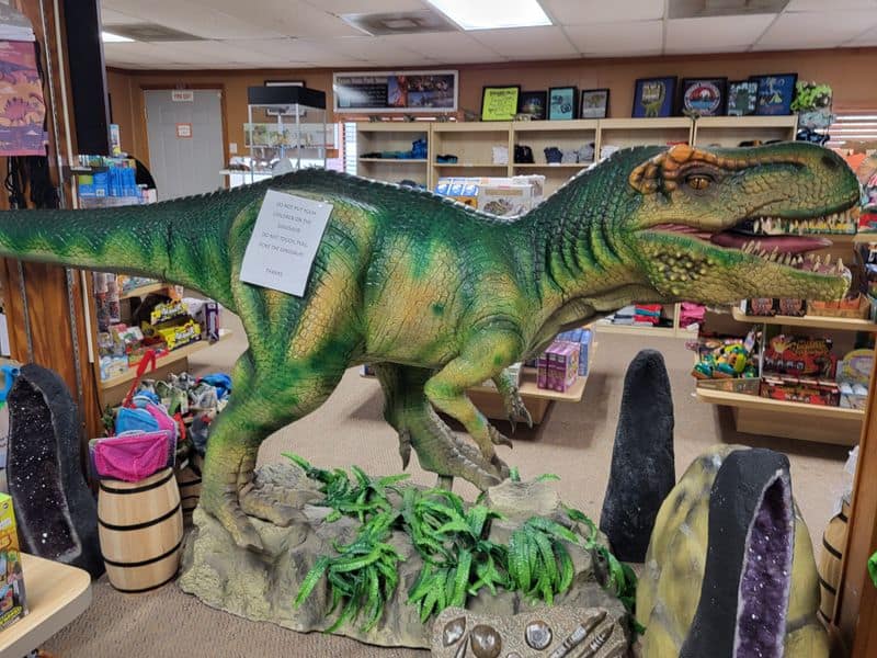 Yes, You Can Walk Where Dinosaurs Walked—Right Here in Texas Kid Friendly Dino Adventure Day