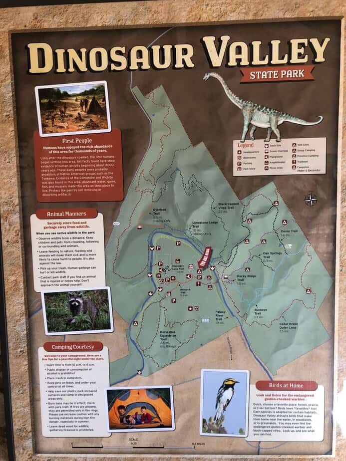 Yes, You Can Walk Where Dinosaurs Walked—Right Here in Texas Photography Tips for Tracks and Trails