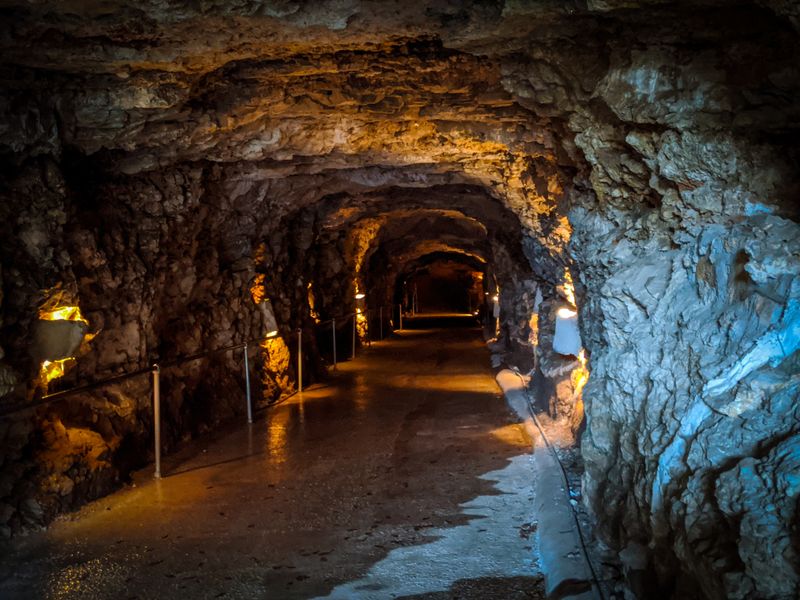 Onsite Extras: Gift Shop, Snacks, and Family Amenities