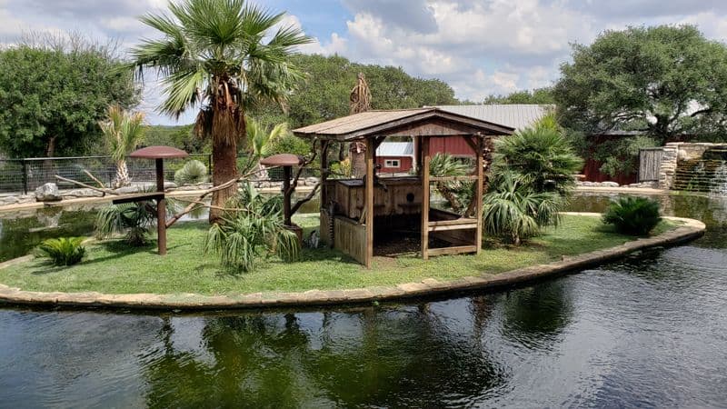 Food, Rest, and Souvenirs