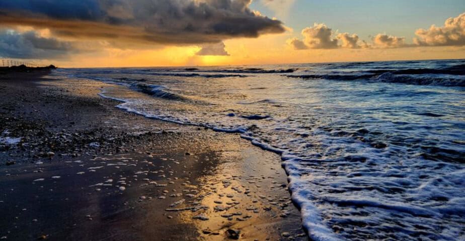 these 7 texas beaches are a surprise for shark tooth hunters