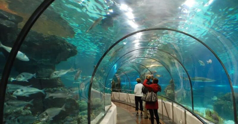 These 9 Family-Friendly Spots Are Perfect to Explore in North Texas