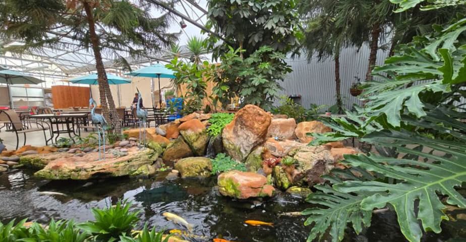 this texas restaurant is basically a secret garden