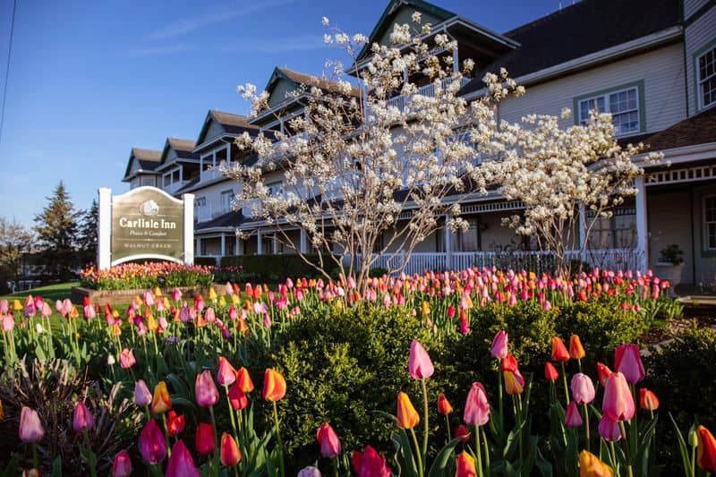 10 Charming Amish Towns in Ohio That Promise a Relaxing, Stress-Free Escape Walnut Creek