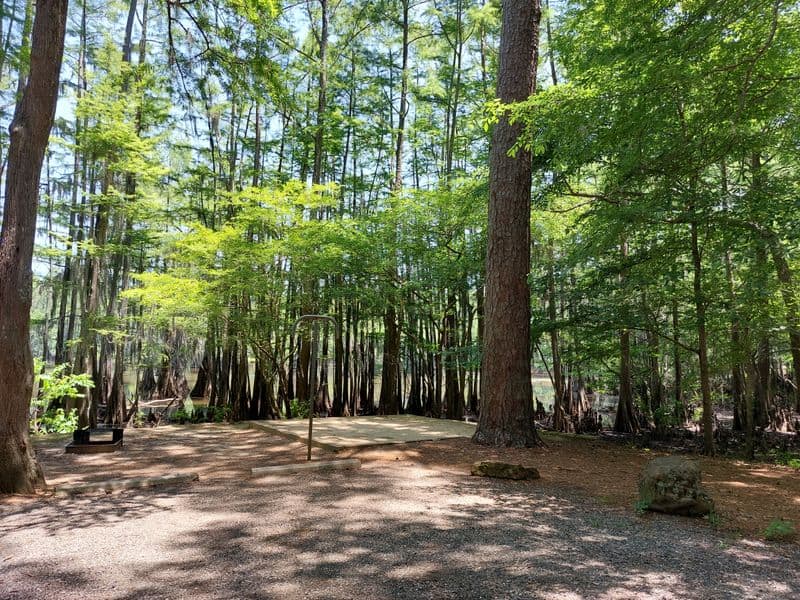 Caddo Lake State Park (East Texas)