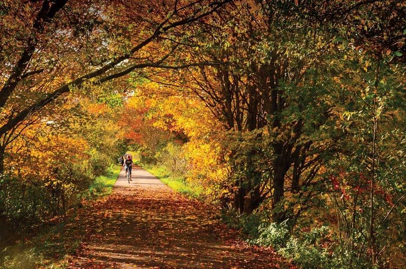 Mohican State Park, OH