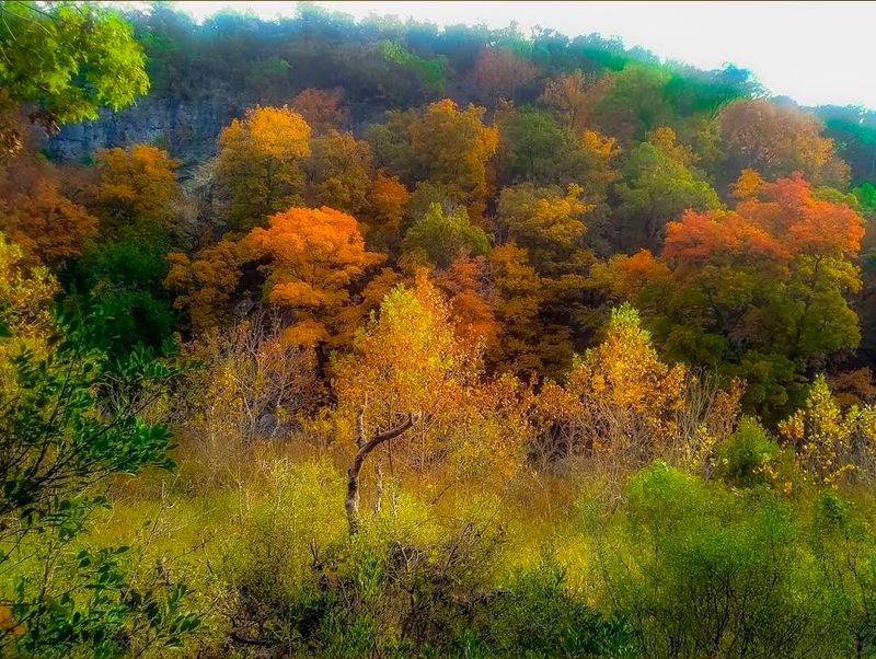 November — Lost Maples State Natural Area
