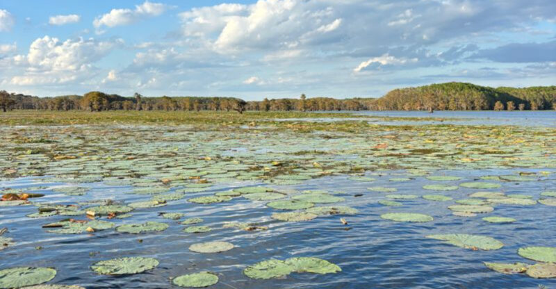 12 Unforgettable Texas Day Trips, One For Each Month Of The Year