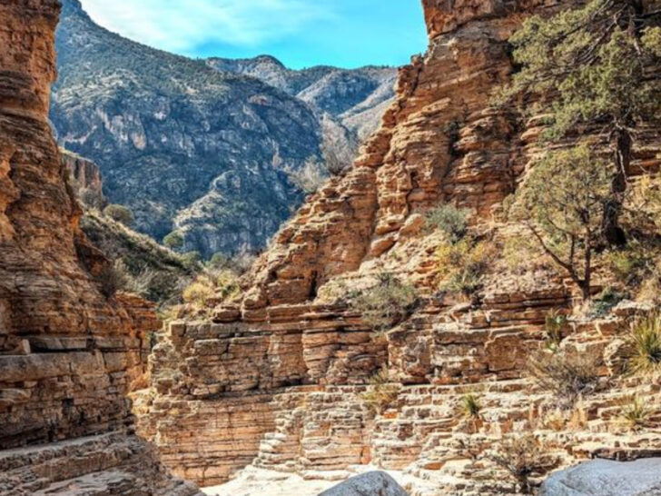 13 Texas Places You Visit Once and Keep Coming Back To Every Year