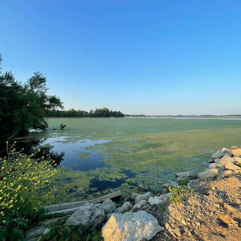 17 Beaches in Ohio – Discover Your Perfect Spot for a Summer Getaway Old Field Beach at Indian Lake State Park (Central Ohio)