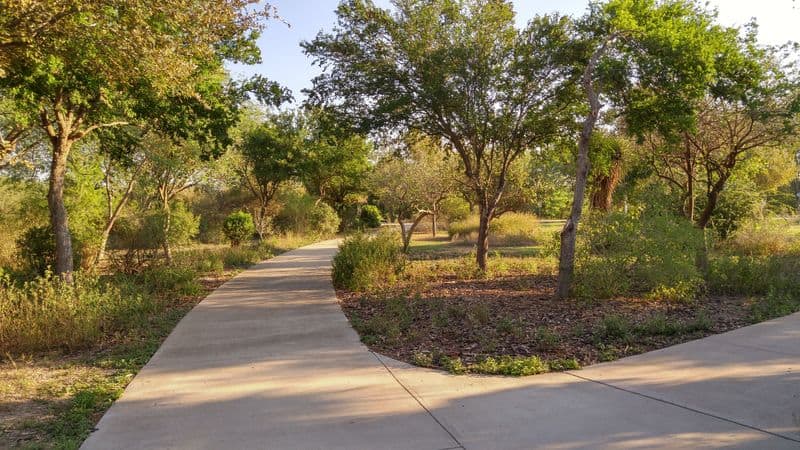 5 Amazing Places in Texas to See Monarch Butterflies Bentsen-Rio Grande Valley State Park (Mission)