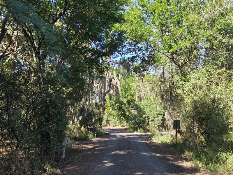 5 Amazing Places in Texas to See Monarch Butterflies Santa Ana National Wildlife Refuge (Alamo)