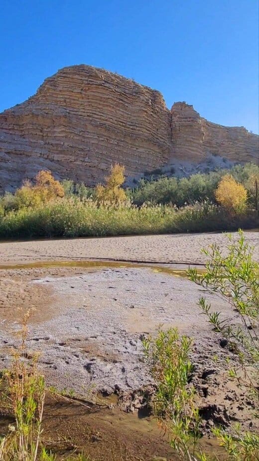 5 Amazing Places in Texas to See Monarch Butterflies Big Bend National Park (West Texas)