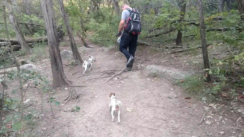 Turkey Creek Trail (Emma Long Metro Park, Austin)