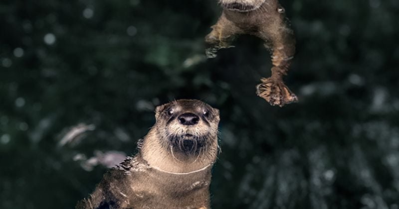 Little Muskingum River (Eastern Ohio)