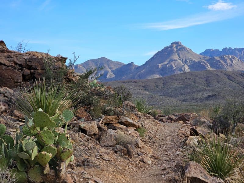 Lone Mountain Loop (Big Bend National Park)